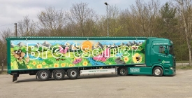 56966755_2633445803394051_2931202015721684992_n