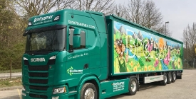 57446390_2633445720060726_1484527047538638848_n